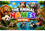 creative animated videos for kids